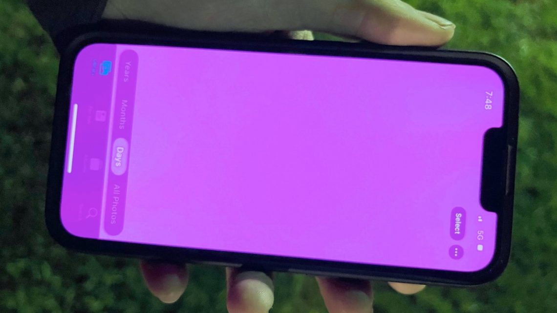 iPhone 13 owners are complaining of "pink screens of death"